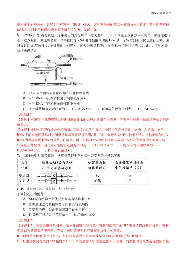 专题10遗传的分子基础-好题汇编十年（2015-2024）高考生物真题分项汇编（全国通用）（解析版）_生物真题汇总_十年（2014-2024）高考生物真题分项汇编（全国通用）