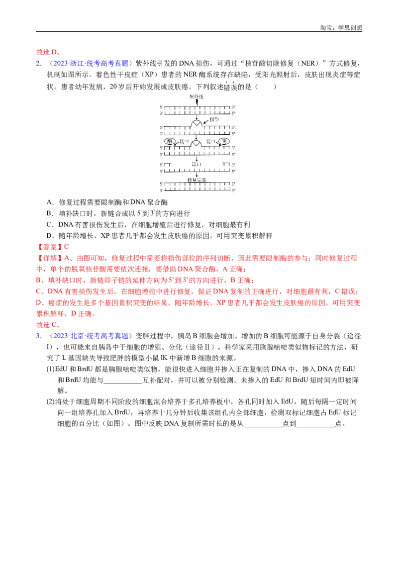 专题10遗传的分子基础-好题汇编十年（2015-2024）高考生物真题分项汇编（全国通用）（解析版）_生物真题汇总_十年（2014-2024）高考生物真题分项汇编（全国通用）
