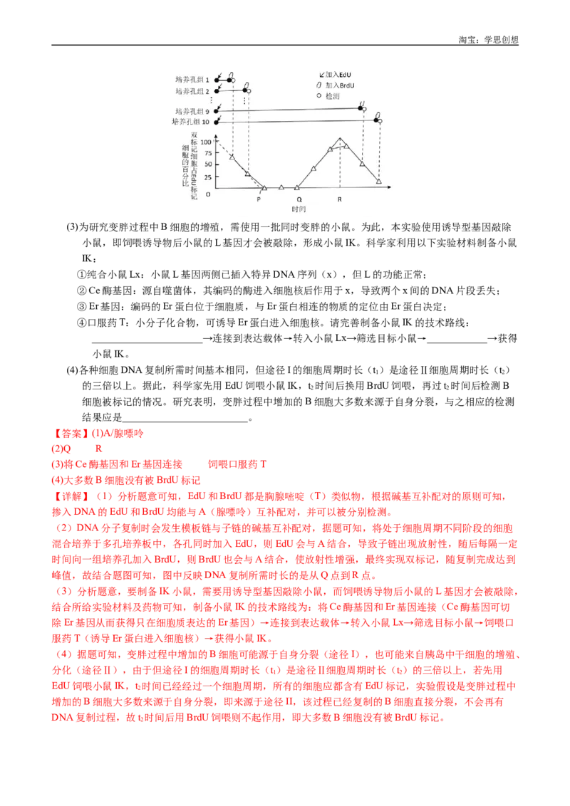 专题10遗传的分子基础-好题汇编十年（2015-2024）高考生物真题分项汇编（全国通用）（解析版）_生物真题汇总_十年（2014-2024）高考生物真题分项汇编（全国通用）