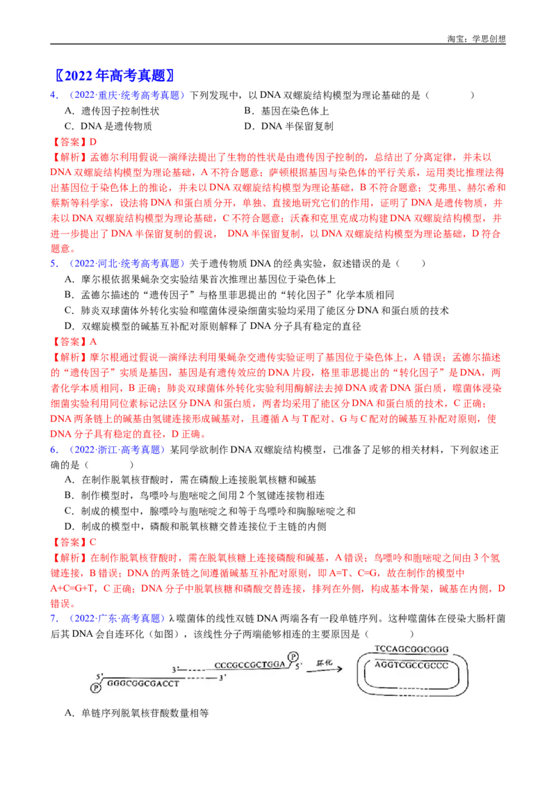 专题10遗传的分子基础-好题汇编十年（2015-2024）高考生物真题分项汇编（全国通用）（解析版）_生物真题汇总_十年（2014-2024）高考生物真题分项汇编（全国通用）