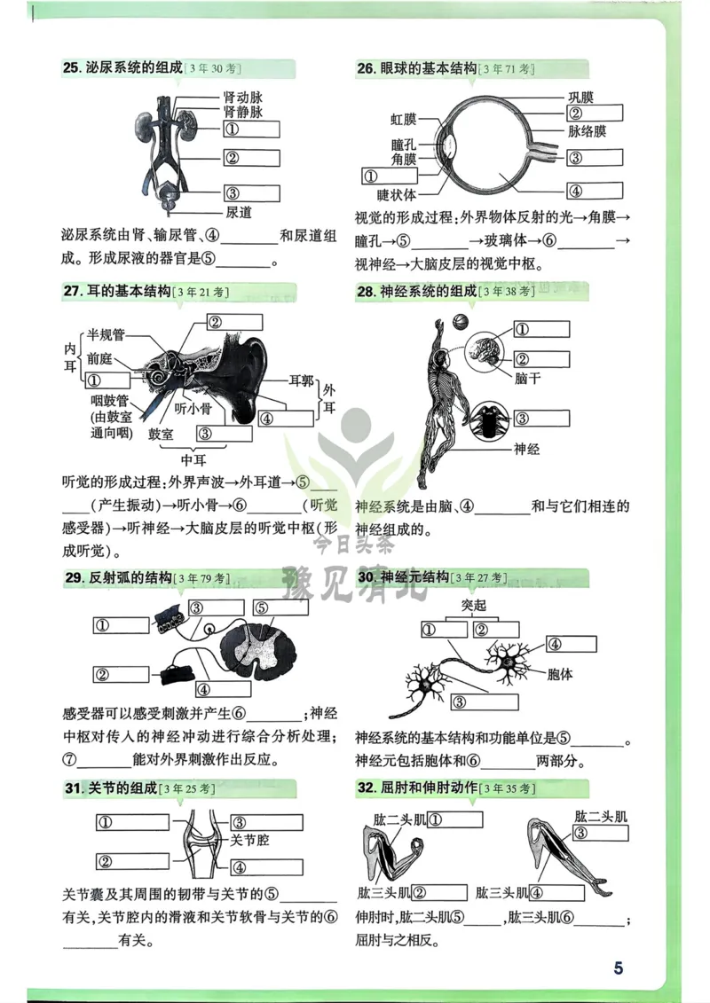 生物高频考点考前突破_万唯中考《初中中考训练方案&middot;2026版(全九科)》