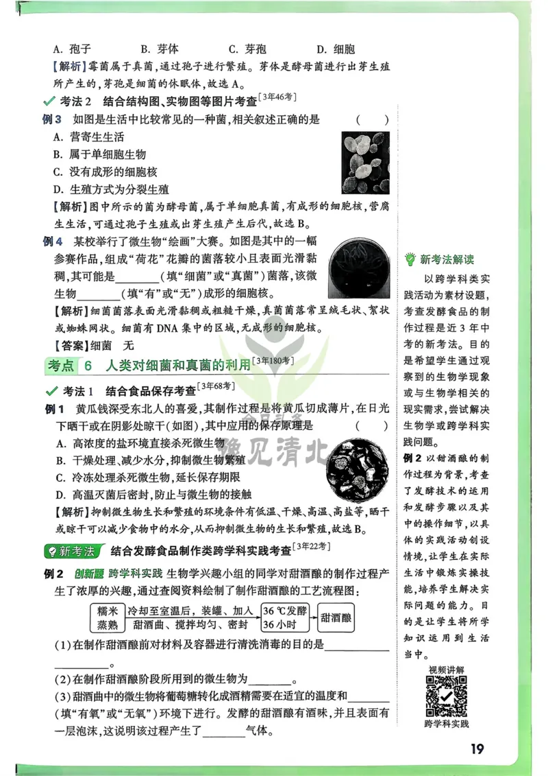 生物高频考点考前突破_万唯中考《初中中考训练方案&middot;2026版(全九科)》