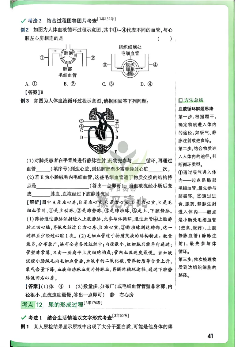 生物高频考点考前突破_万唯中考《初中中考训练方案&middot;2026版(全九科)》