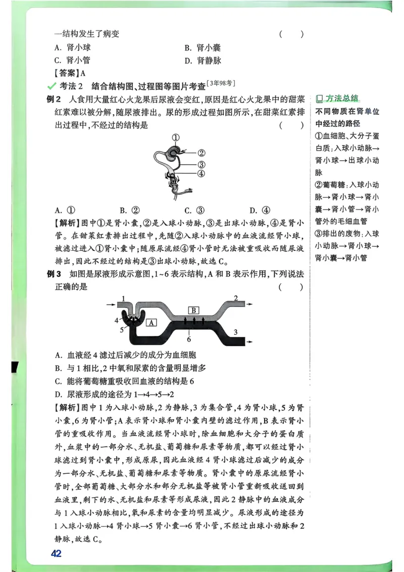 生物高频考点考前突破_万唯中考《初中中考训练方案&middot;2026版(全九科)》