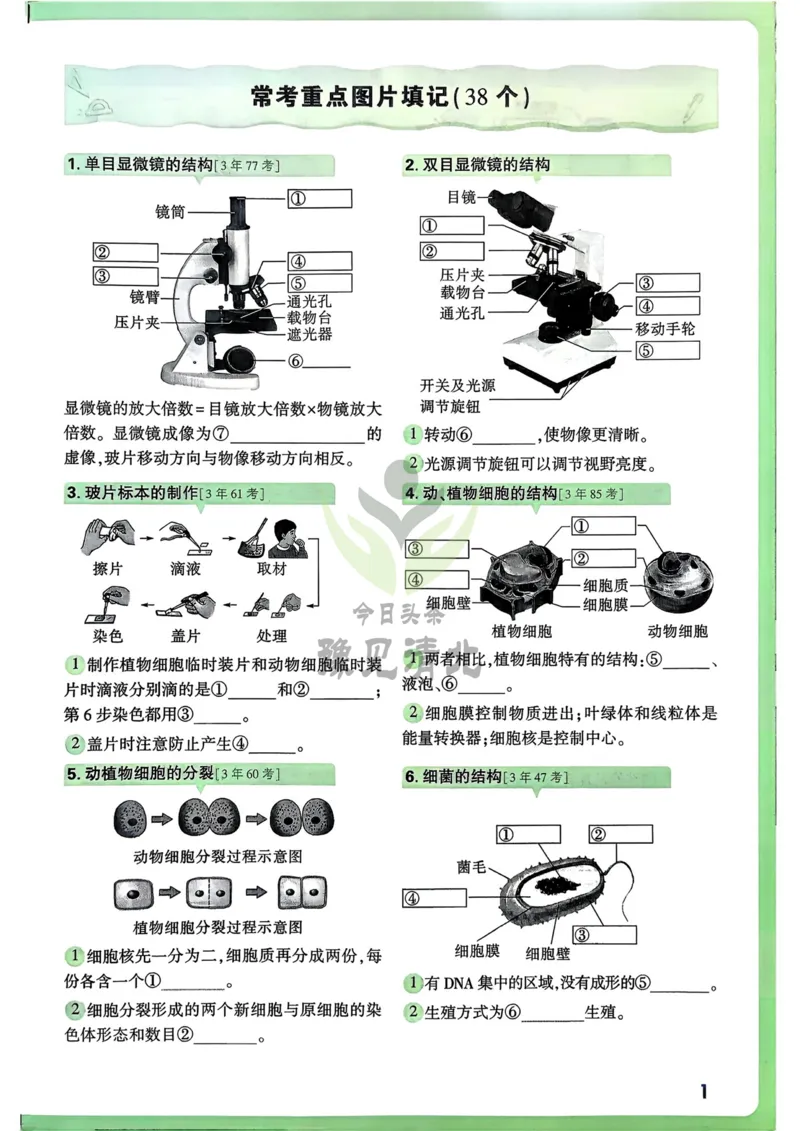 生物高频考点考前突破_万唯中考《初中中考训练方案&middot;2026版(全九科)》