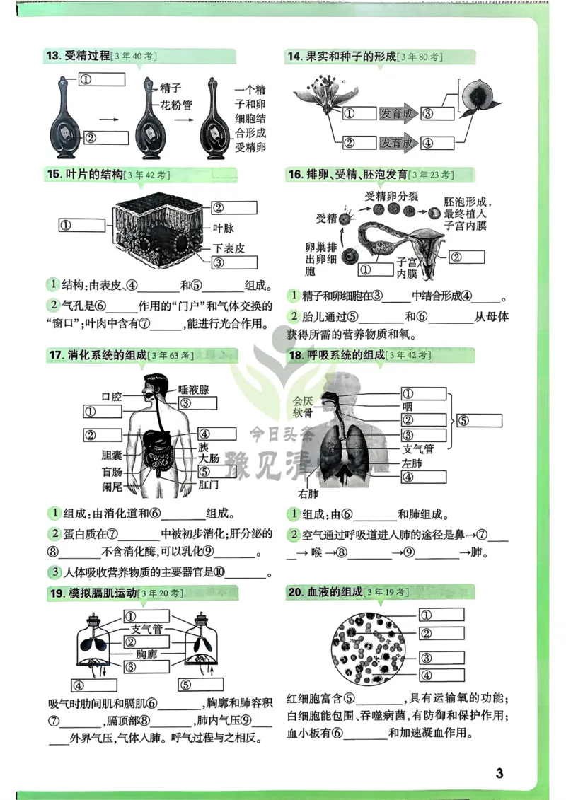 生物高频考点考前突破_万唯中考《初中中考训练方案&middot;2026版(全九科)》