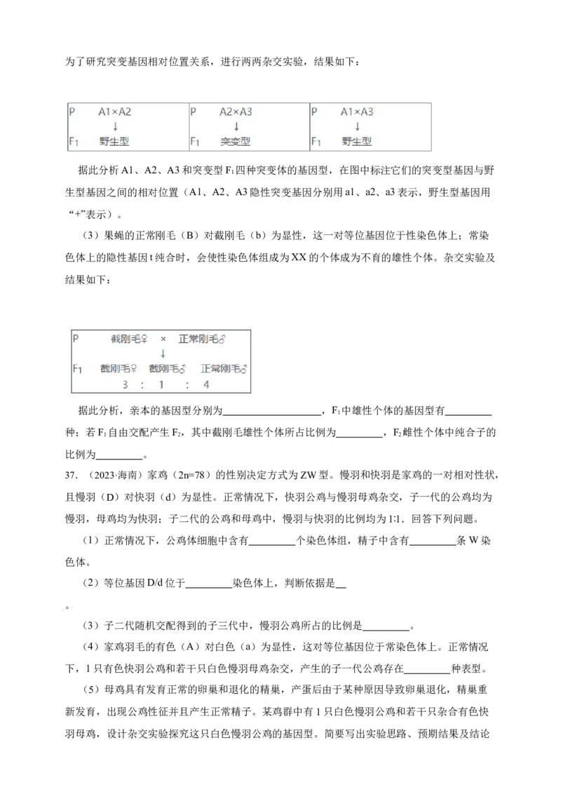 专题11孟德尔定律_生物真题汇总_&radic;近三年（2023-2025）高考生物真题分专项精编_真题分专项汇编