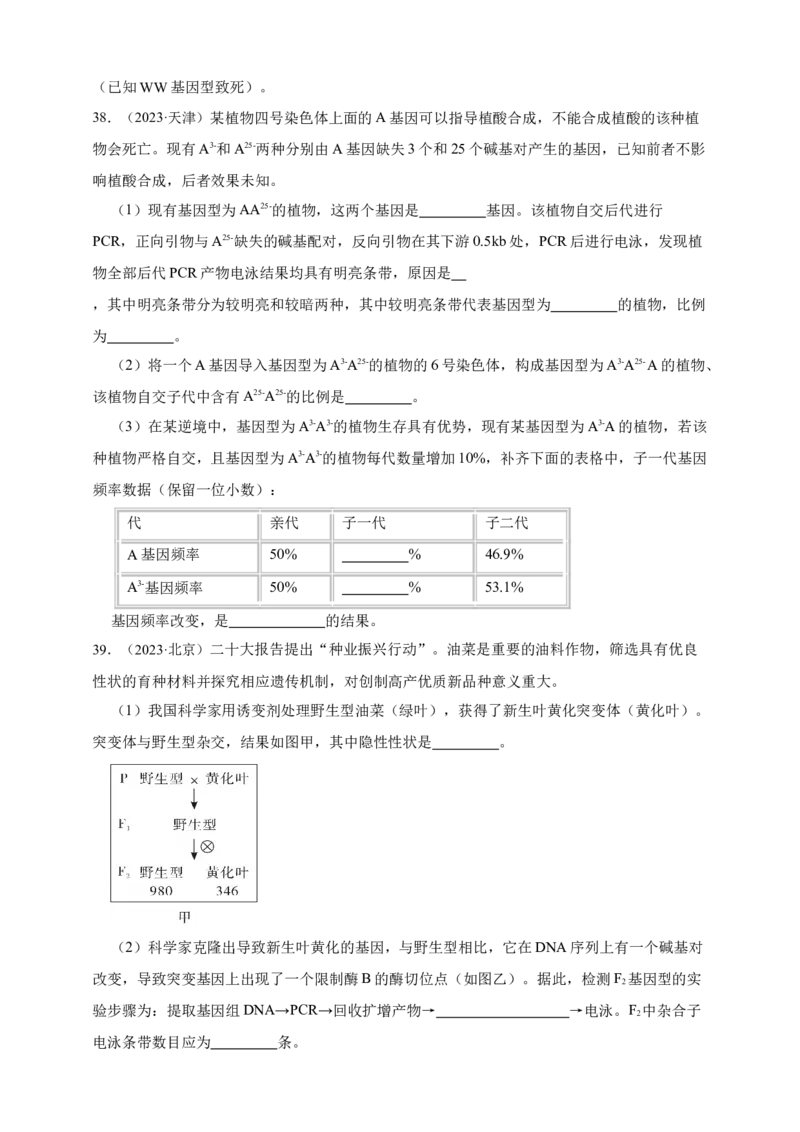专题11孟德尔定律_生物真题汇总_&radic;近三年（2023-2025）高考生物真题分专项精编_真题分专项汇编