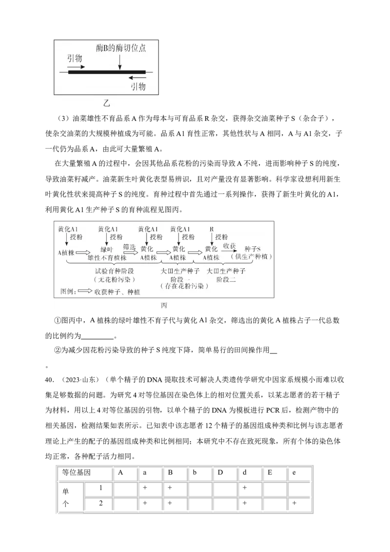 专题11孟德尔定律_生物真题汇总_&radic;近三年（2023-2025）高考生物真题分专项精编_真题分专项汇编
