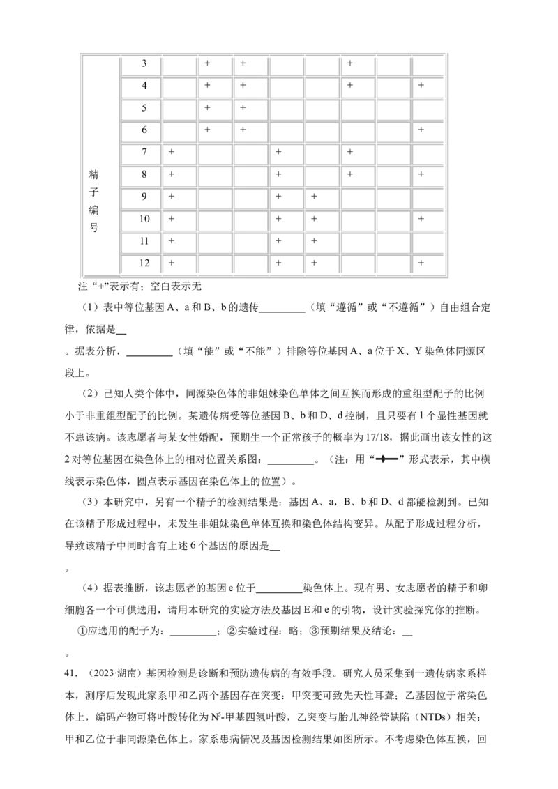 专题11孟德尔定律_生物真题汇总_&radic;近三年（2023-2025）高考生物真题分专项精编_真题分专项汇编
