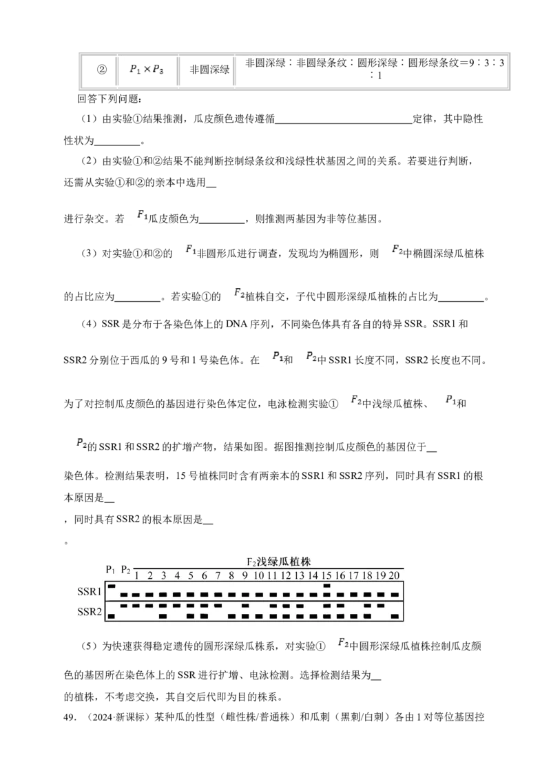 专题11孟德尔定律_生物真题汇总_&radic;近三年（2023-2025）高考生物真题分专项精编_真题分专项汇编