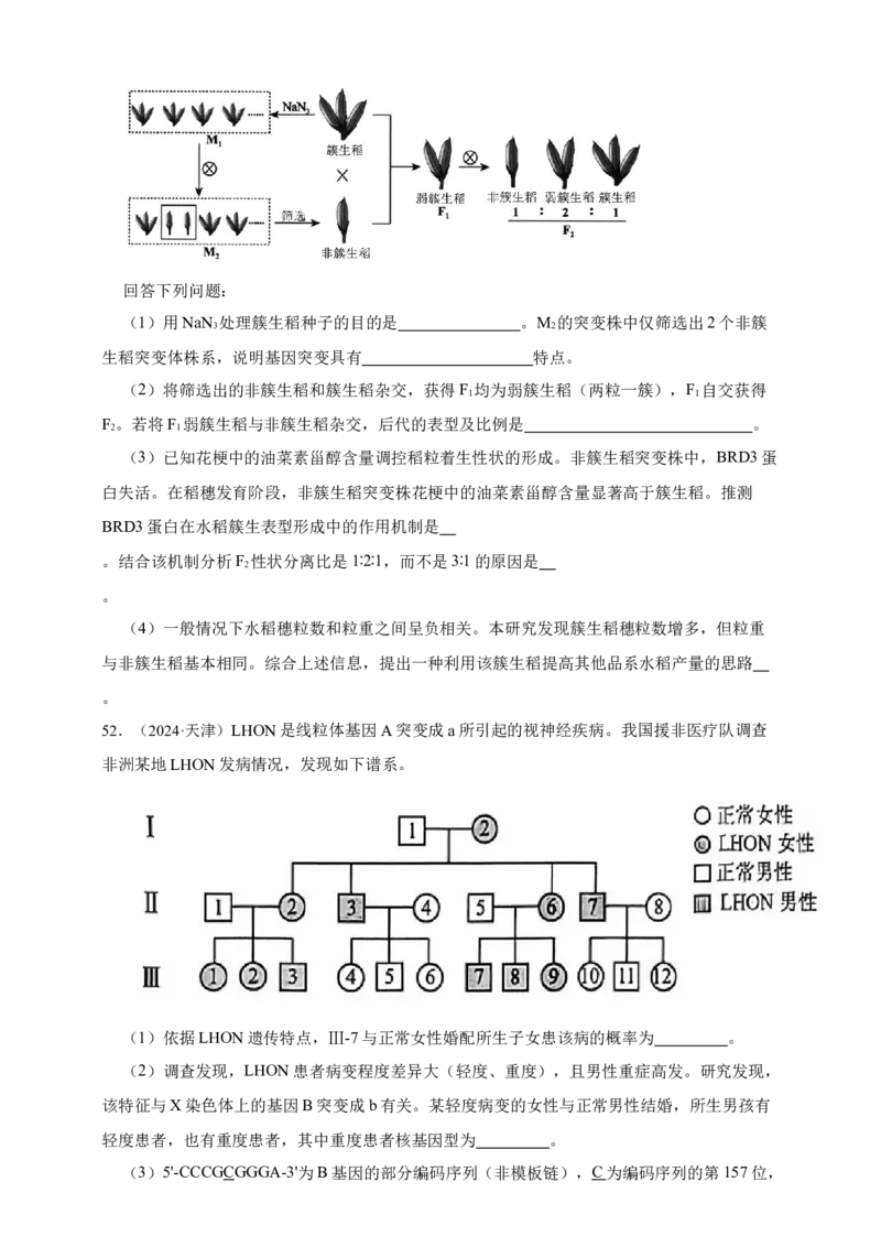 专题11孟德尔定律_生物真题汇总_&radic;近三年（2023-2025）高考生物真题分专项精编_真题分专项汇编