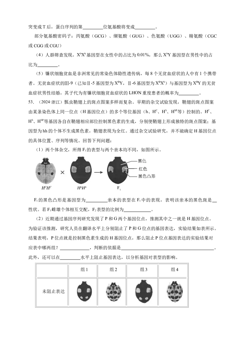 专题11孟德尔定律_生物真题汇总_&radic;近三年（2023-2025）高考生物真题分专项精编_真题分专项汇编