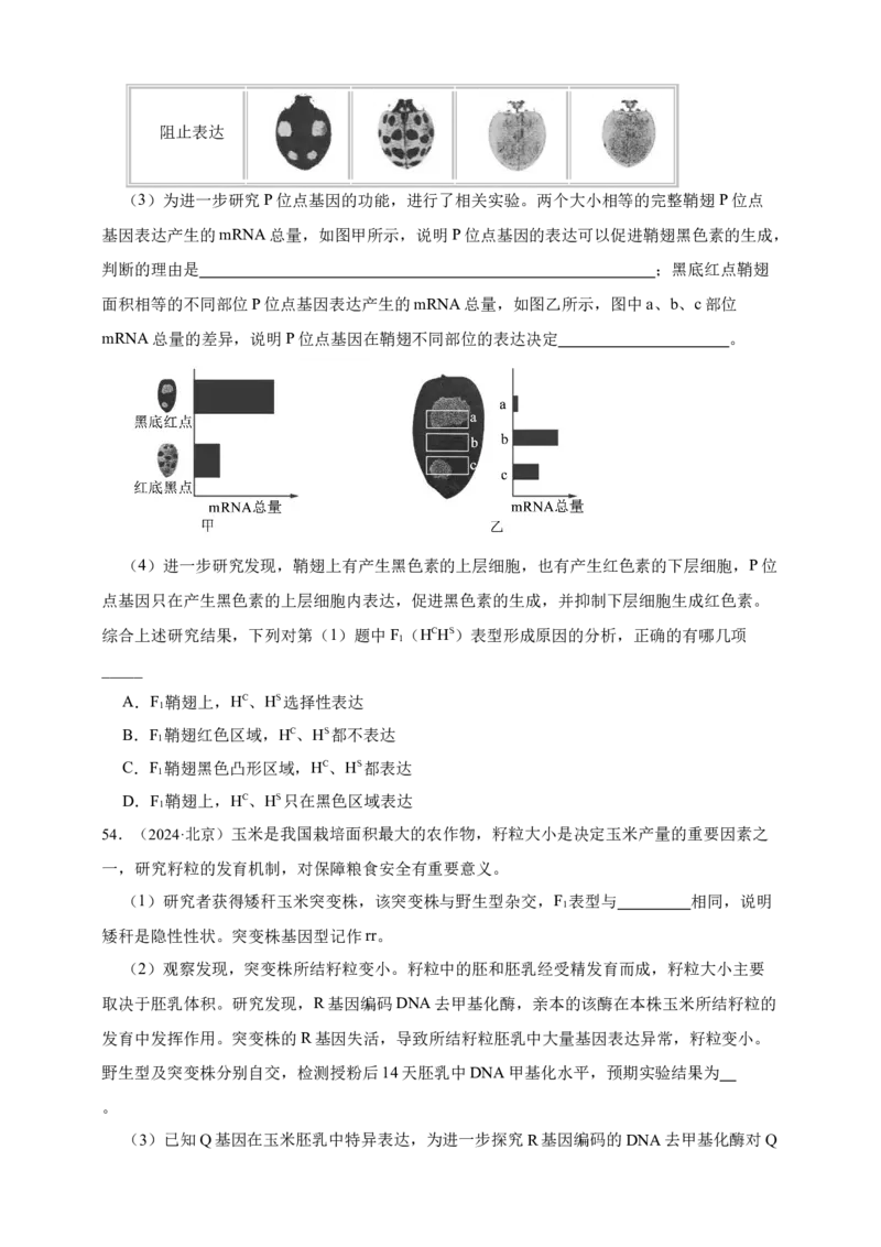 专题11孟德尔定律_生物真题汇总_&radic;近三年（2023-2025）高考生物真题分专项精编_真题分专项汇编