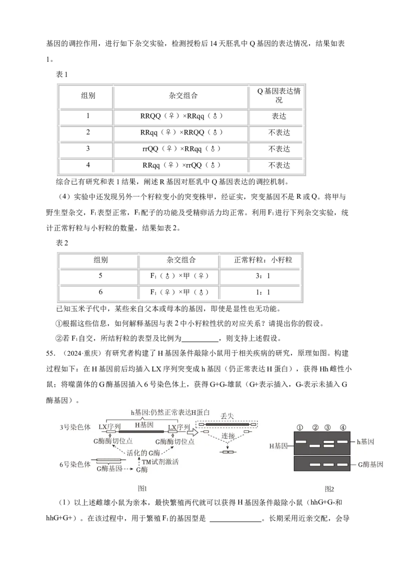专题11孟德尔定律_生物真题汇总_&radic;近三年（2023-2025）高考生物真题分专项精编_真题分专项汇编