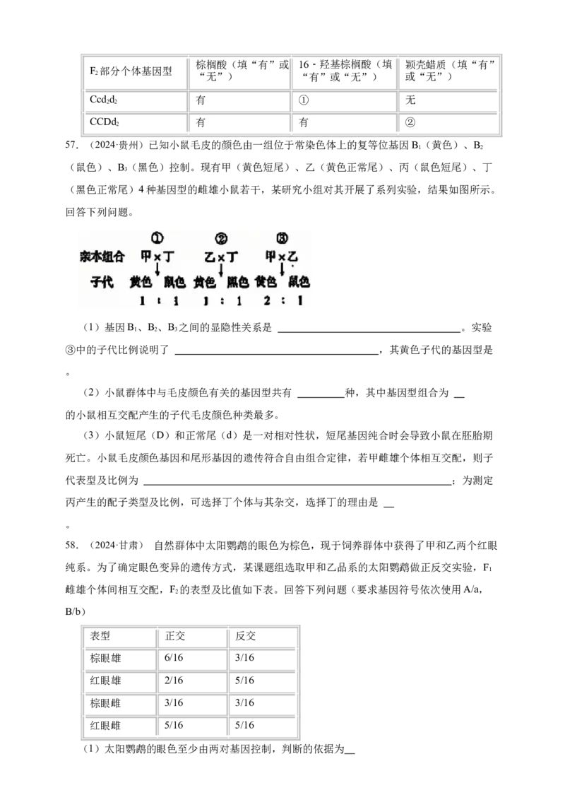 专题11孟德尔定律_生物真题汇总_&radic;近三年（2023-2025）高考生物真题分专项精编_真题分专项汇编
