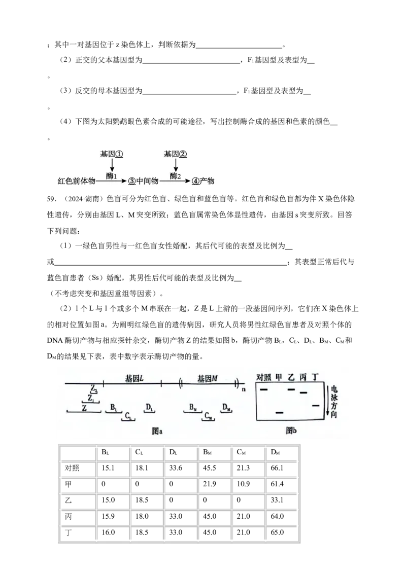 专题11孟德尔定律_生物真题汇总_&radic;近三年（2023-2025）高考生物真题分专项精编_真题分专项汇编
