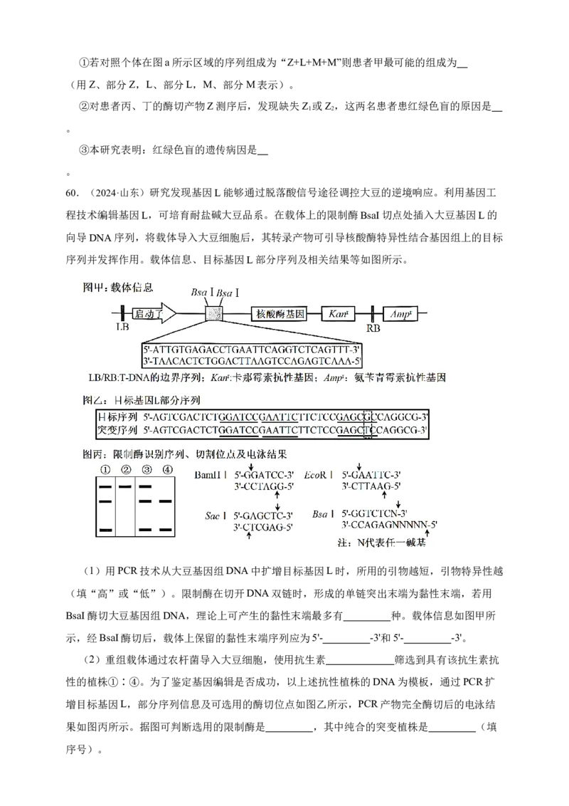 专题11孟德尔定律_生物真题汇总_&radic;近三年（2023-2025）高考生物真题分专项精编_真题分专项汇编
