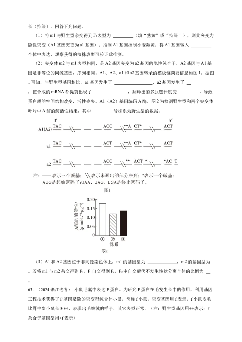 专题11孟德尔定律_生物真题汇总_&radic;近三年（2023-2025）高考生物真题分专项精编_真题分专项汇编