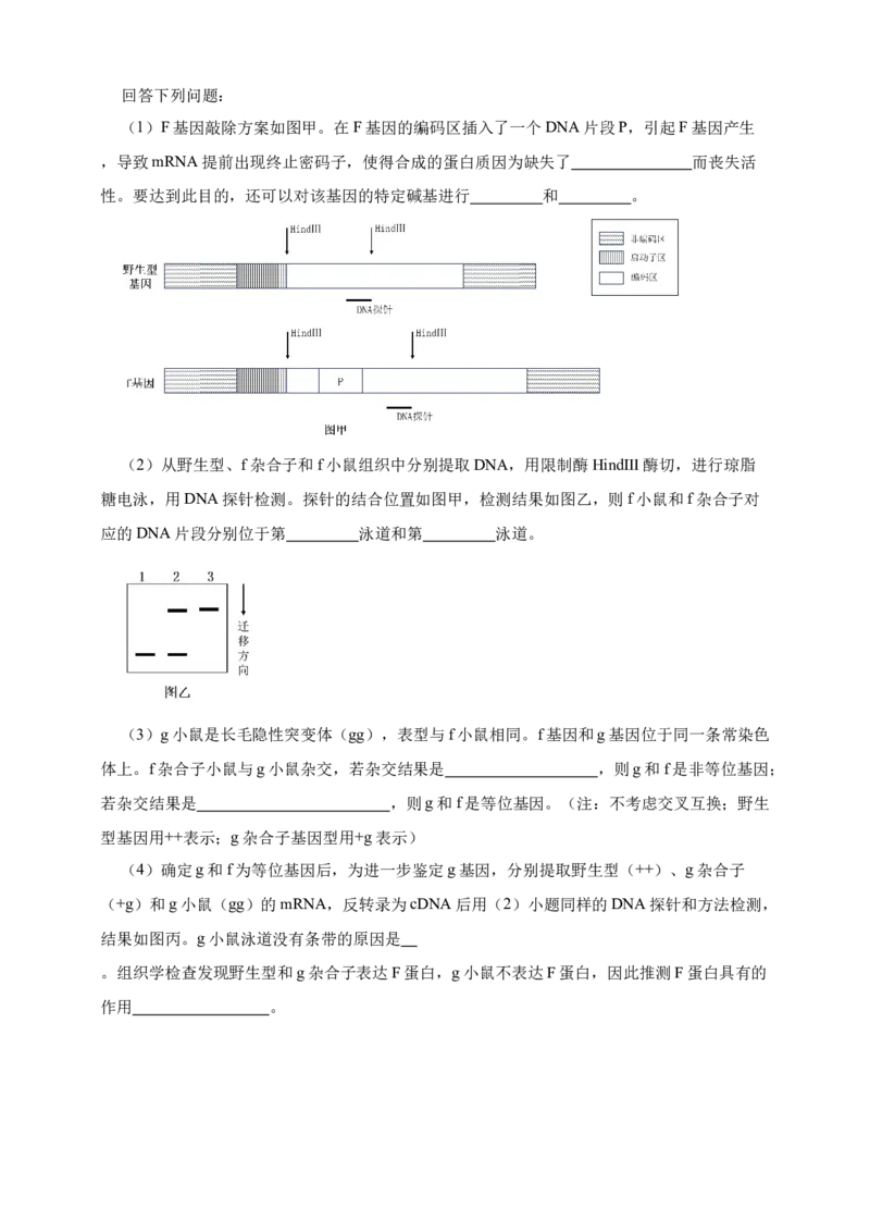 专题11孟德尔定律_生物真题汇总_&radic;近三年（2023-2025）高考生物真题分专项精编_真题分专项汇编