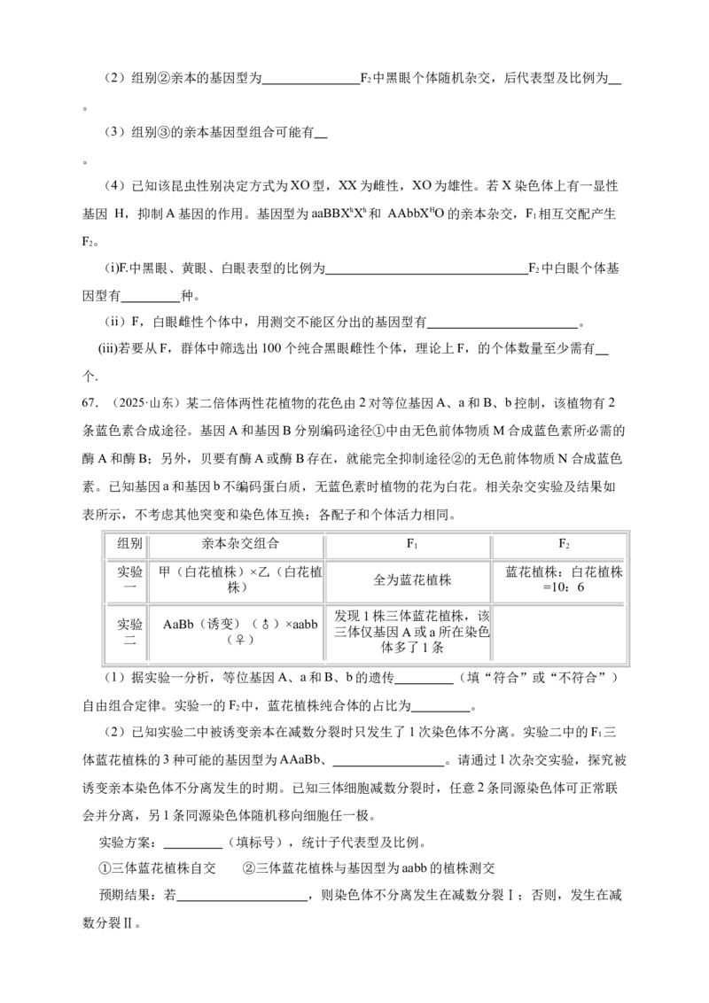 专题11孟德尔定律_生物真题汇总_&radic;近三年（2023-2025）高考生物真题分专项精编_真题分专项汇编