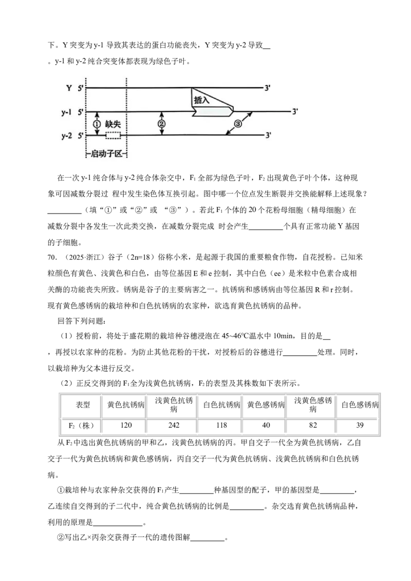 专题11孟德尔定律_生物真题汇总_&radic;近三年（2023-2025）高考生物真题分专项精编_真题分专项汇编