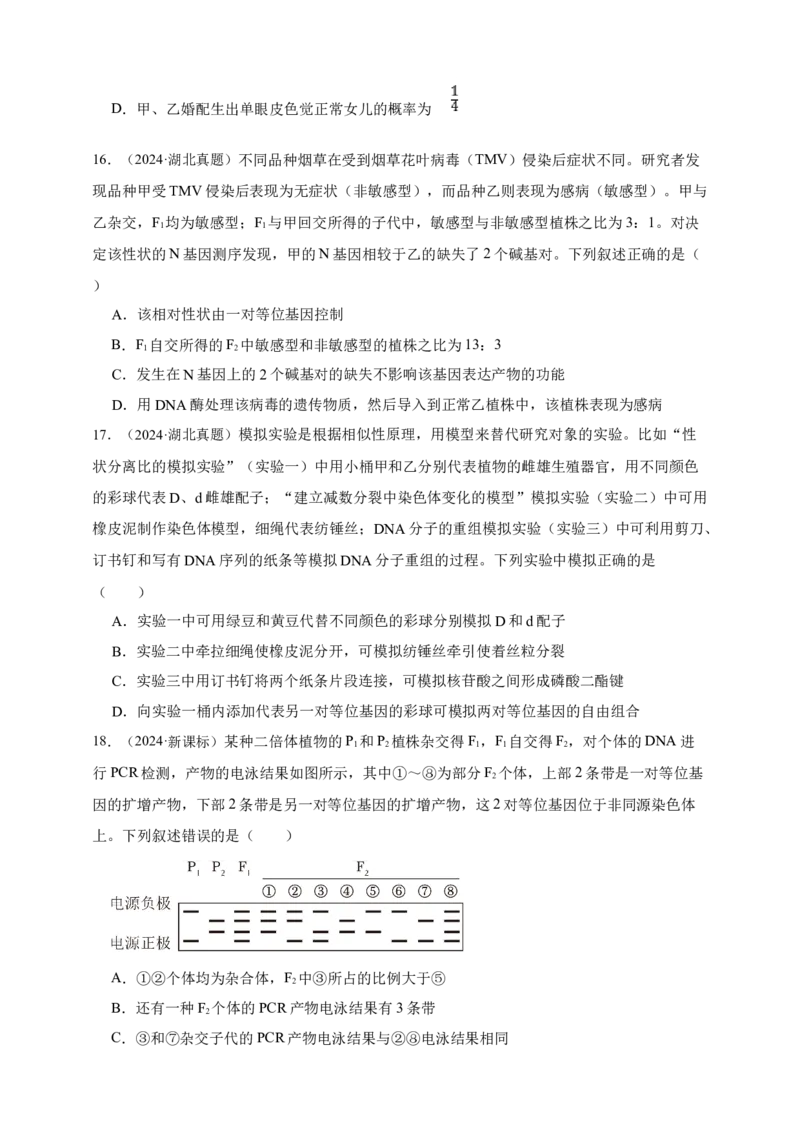 专题11孟德尔定律_生物真题汇总_&radic;近三年（2023-2025）高考生物真题分专项精编_真题分专项汇编