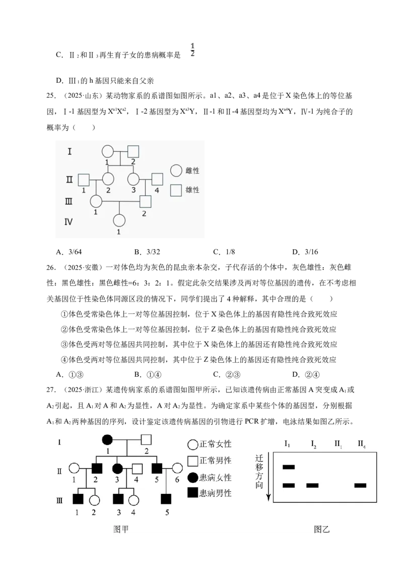 专题11孟德尔定律_生物真题汇总_&radic;近三年（2023-2025）高考生物真题分专项精编_真题分专项汇编