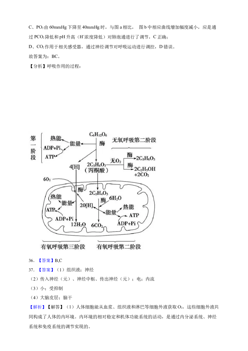 专题16神经调节（答案解析）_生物真题汇总_&radic;近三年（2023-2025）高考生物真题分专项精编_答案解析