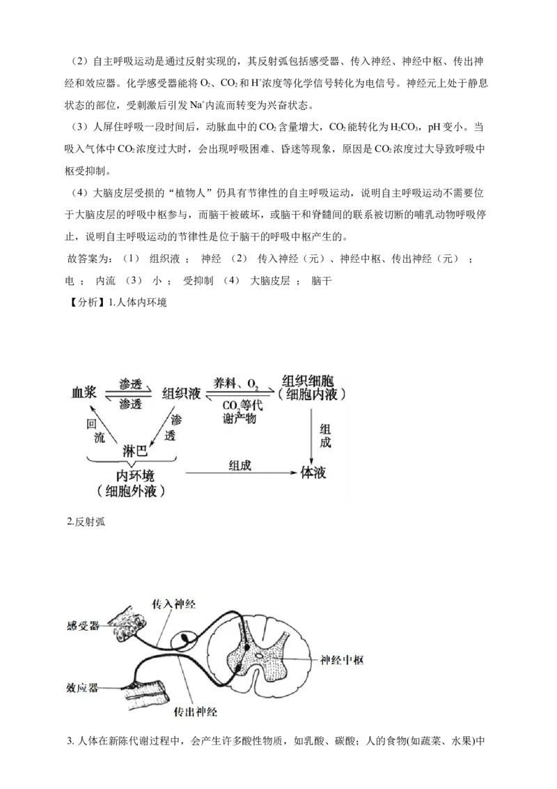 专题16神经调节（答案解析）_生物真题汇总_&radic;近三年（2023-2025）高考生物真题分专项精编_答案解析