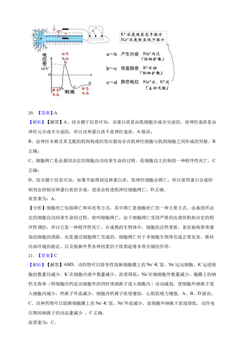 专题16神经调节（答案解析）_生物真题汇总_&radic;近三年（2023-2025）高考生物真题分专项精编_答案解析