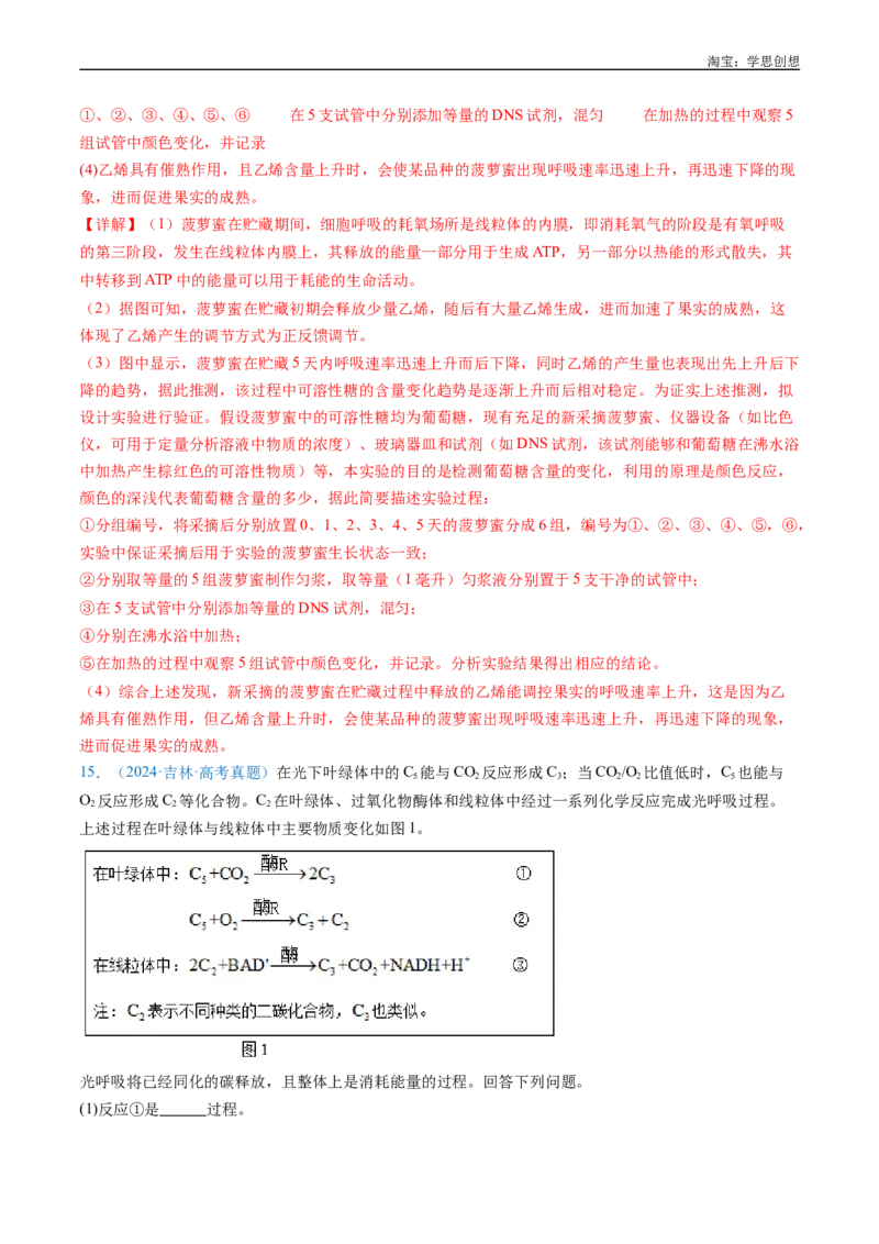 专题05细胞呼吸-好题汇编十年（2015-2024）高考生物真题分类汇编（全国通用）（解析版）_生物真题汇总_十年（2014-2024）高考生物真题分项汇编（全国通用）