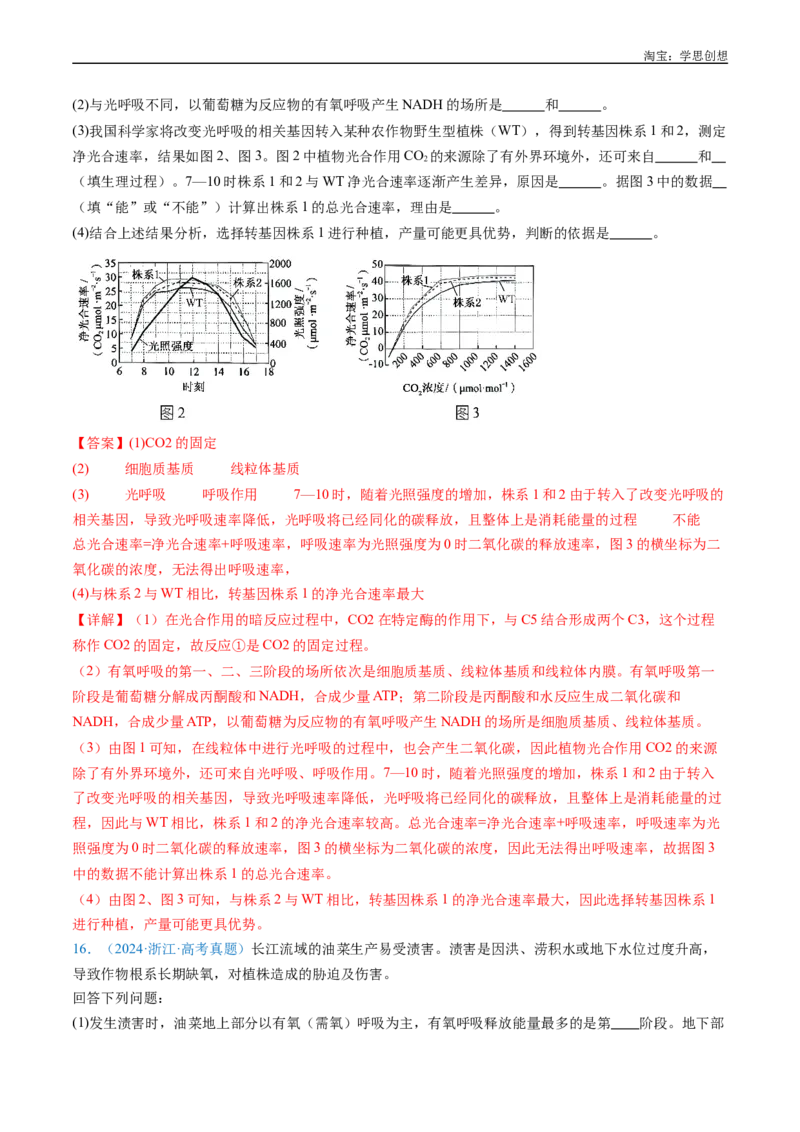 专题05细胞呼吸-好题汇编十年（2015-2024）高考生物真题分类汇编（全国通用）（解析版）_生物真题汇总_十年（2014-2024）高考生物真题分项汇编（全国通用）
