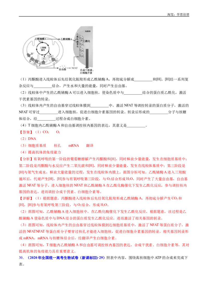专题05细胞呼吸-好题汇编十年（2015-2024）高考生物真题分类汇编（全国通用）（解析版）_生物真题汇总_十年（2014-2024）高考生物真题分项汇编（全国通用）