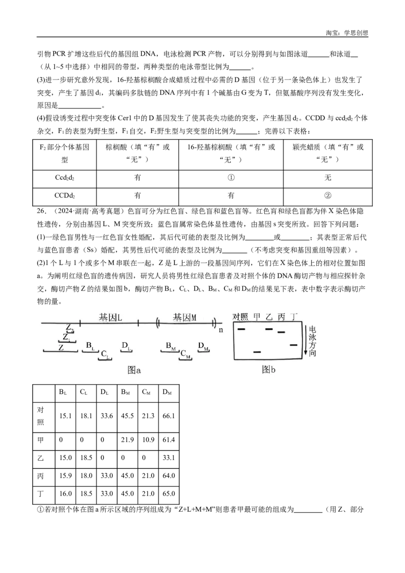 专题25基因工程-好题汇编十年（2015-2024）高考生物真题分类汇编（全国通用）（原卷版）_生物真题汇总_十年（2014-2024）高考生物真题分项汇编（全国通用）