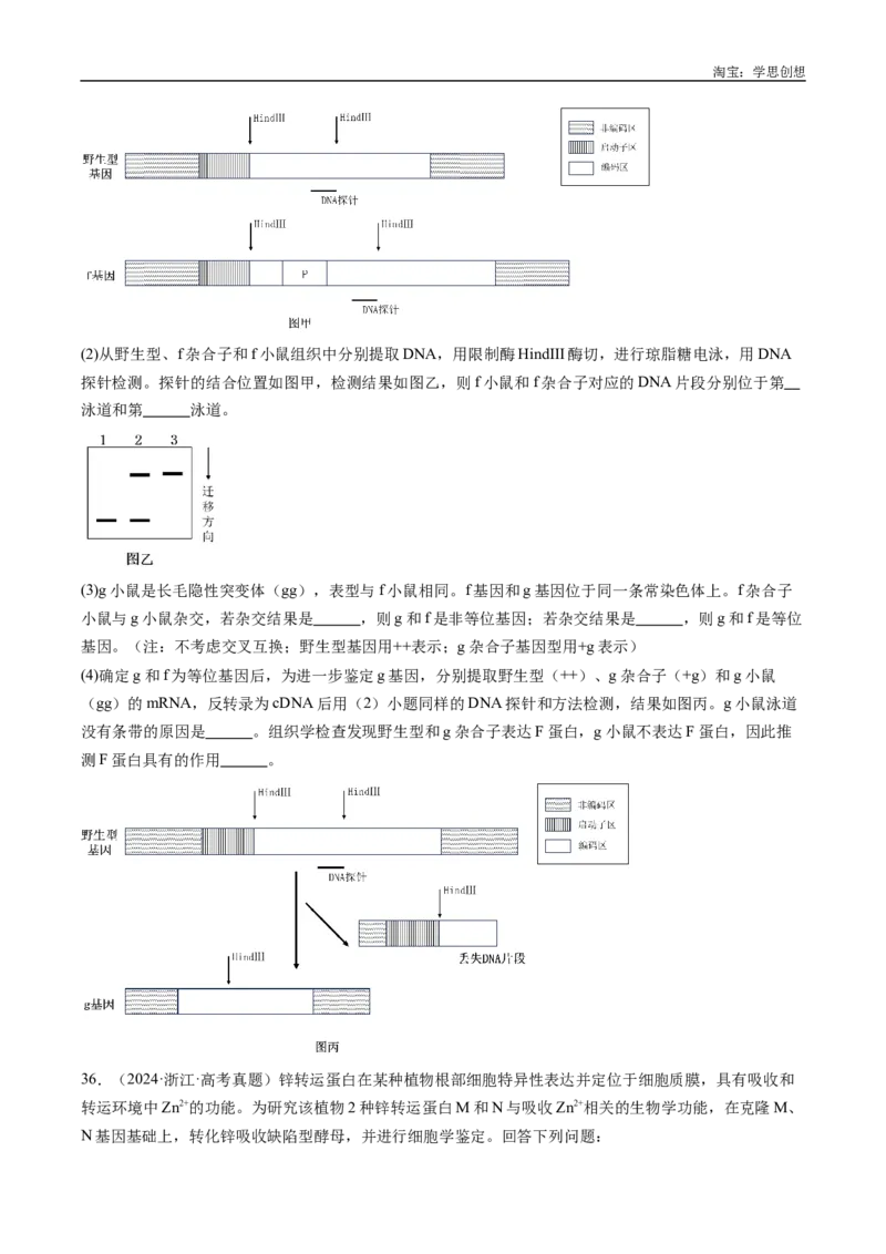 专题25基因工程-好题汇编十年（2015-2024）高考生物真题分类汇编（全国通用）（原卷版）_生物真题汇总_十年（2014-2024）高考生物真题分项汇编（全国通用）