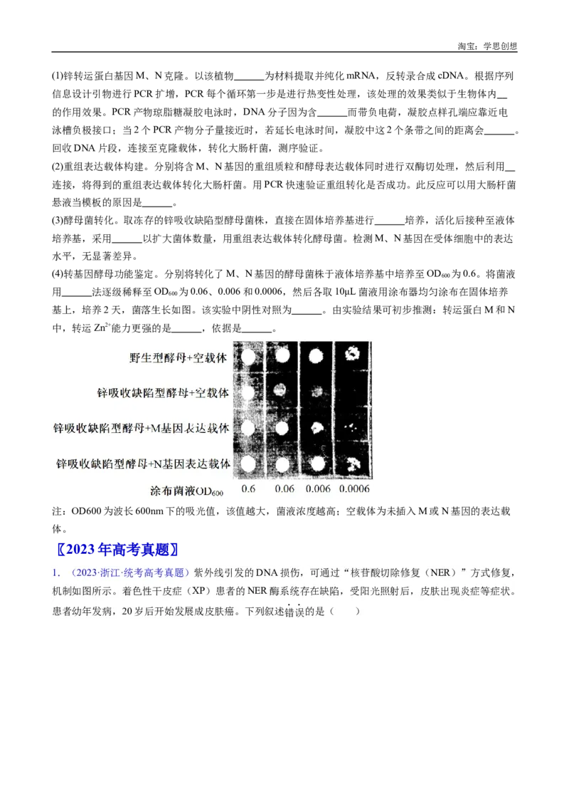 专题25基因工程-好题汇编十年（2015-2024）高考生物真题分类汇编（全国通用）（原卷版）_生物真题汇总_十年（2014-2024）高考生物真题分项汇编（全国通用）