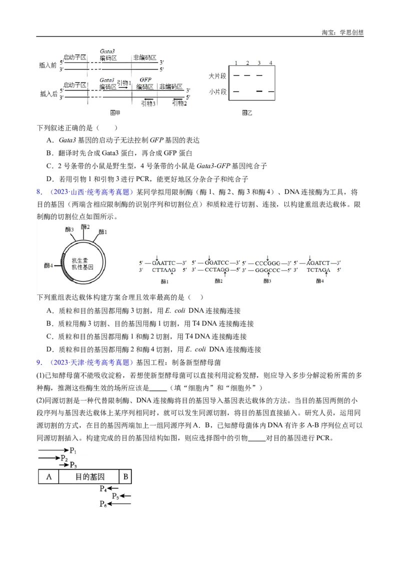 专题25基因工程-好题汇编十年（2015-2024）高考生物真题分类汇编（全国通用）（原卷版）_生物真题汇总_十年（2014-2024）高考生物真题分项汇编（全国通用）