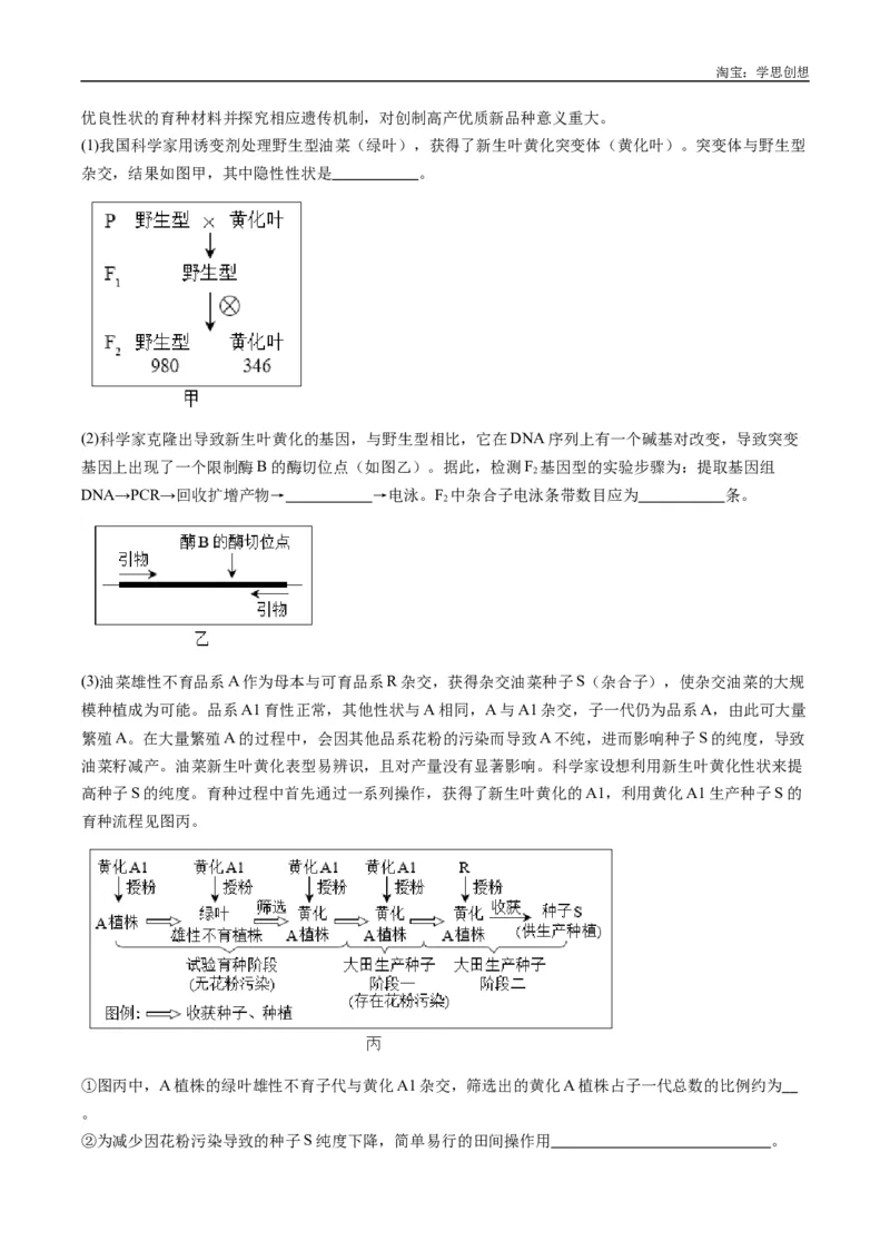 专题25基因工程-好题汇编十年（2015-2024）高考生物真题分类汇编（全国通用）（原卷版）_生物真题汇总_十年（2014-2024）高考生物真题分项汇编（全国通用）