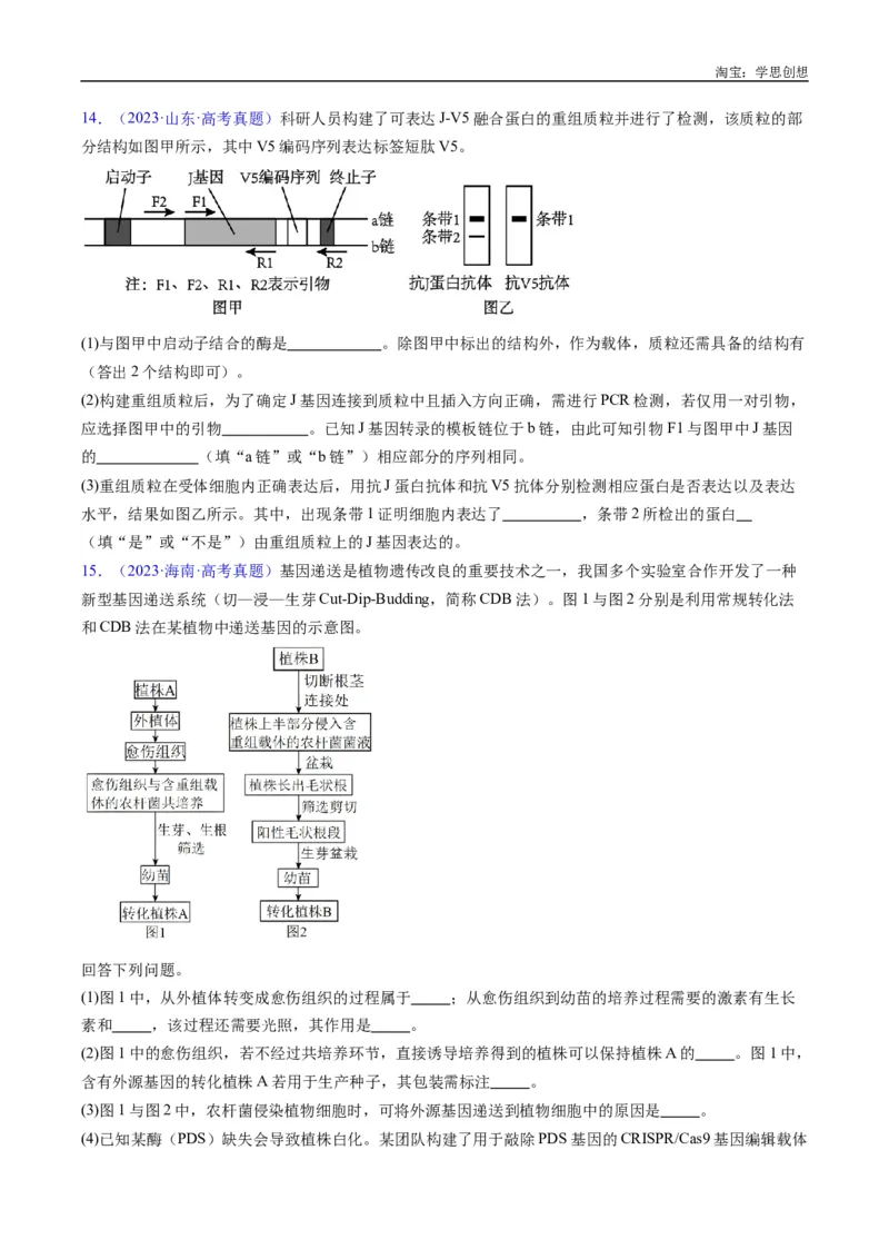 专题25基因工程-好题汇编十年（2015-2024）高考生物真题分类汇编（全国通用）（原卷版）_生物真题汇总_十年（2014-2024）高考生物真题分项汇编（全国通用）