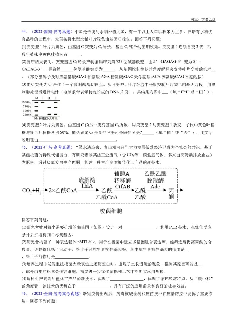 专题25基因工程-好题汇编十年（2015-2024）高考生物真题分类汇编（全国通用）（原卷版）_生物真题汇总_十年（2014-2024）高考生物真题分项汇编（全国通用）