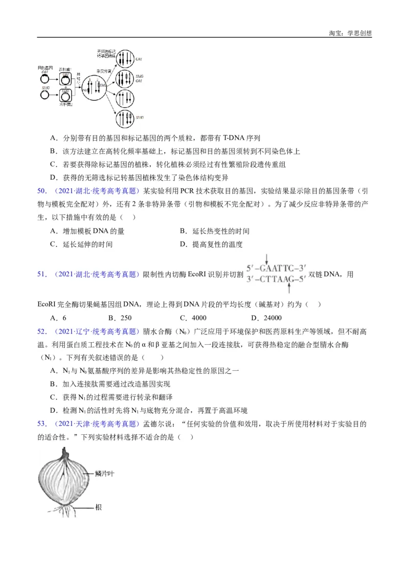 专题25基因工程-好题汇编十年（2015-2024）高考生物真题分类汇编（全国通用）（原卷版）_生物真题汇总_十年（2014-2024）高考生物真题分项汇编（全国通用）