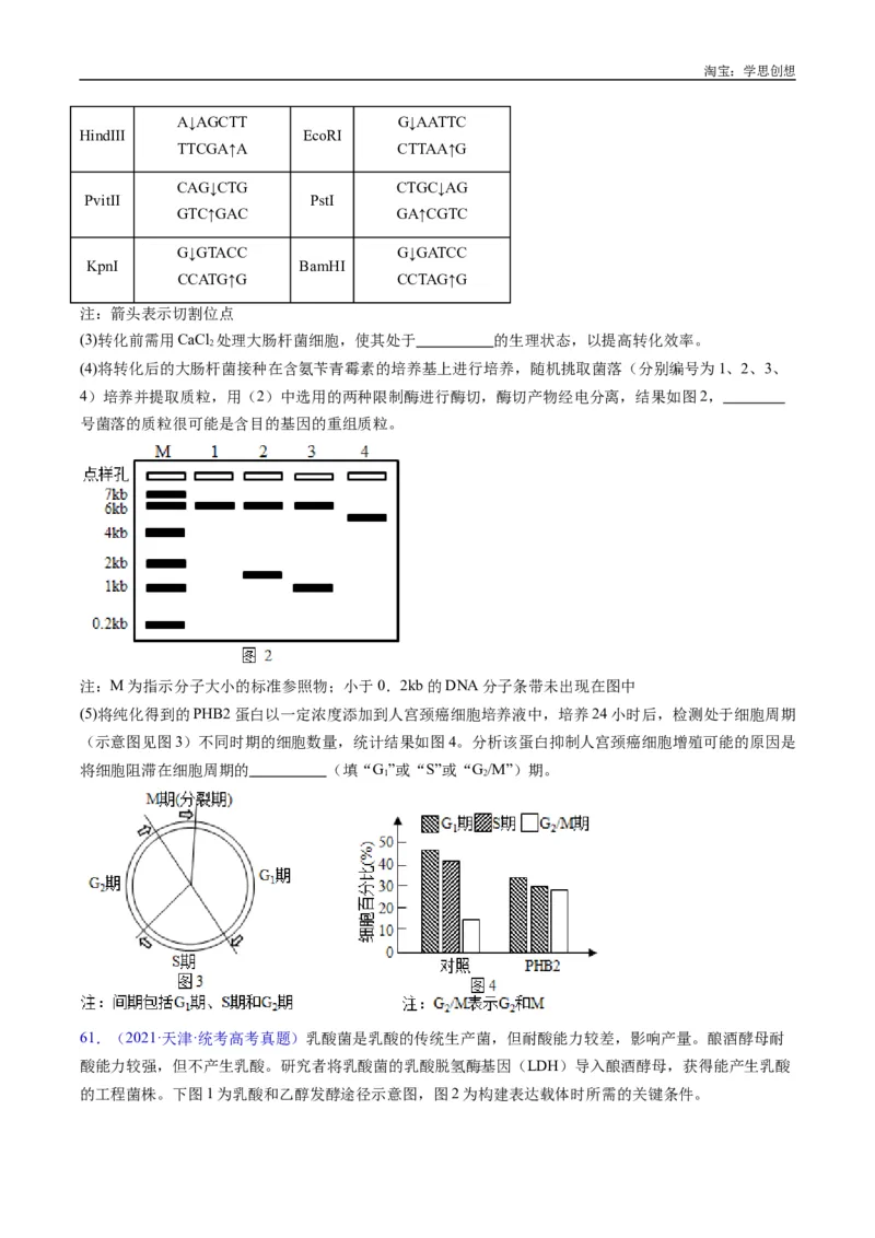 专题25基因工程-好题汇编十年（2015-2024）高考生物真题分类汇编（全国通用）（原卷版）_生物真题汇总_十年（2014-2024）高考生物真题分项汇编（全国通用）
