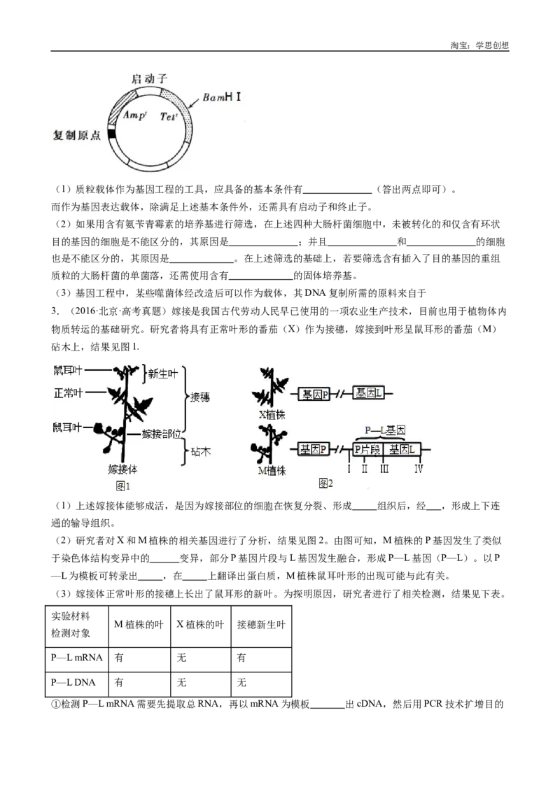 专题25基因工程-好题汇编十年（2015-2024）高考生物真题分类汇编（全国通用）（原卷版）_生物真题汇总_十年（2014-2024）高考生物真题分项汇编（全国通用）