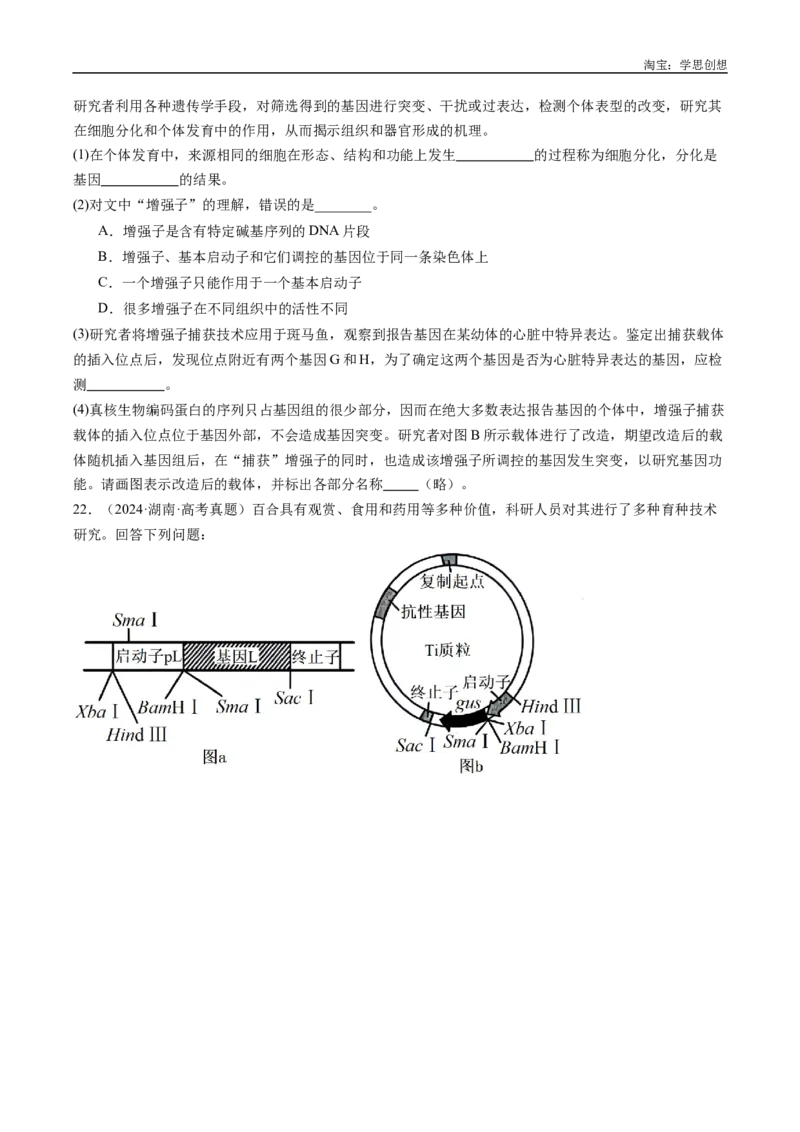 专题25基因工程-好题汇编十年（2015-2024）高考生物真题分类汇编（全国通用）（原卷版）_生物真题汇总_十年（2014-2024）高考生物真题分项汇编（全国通用）