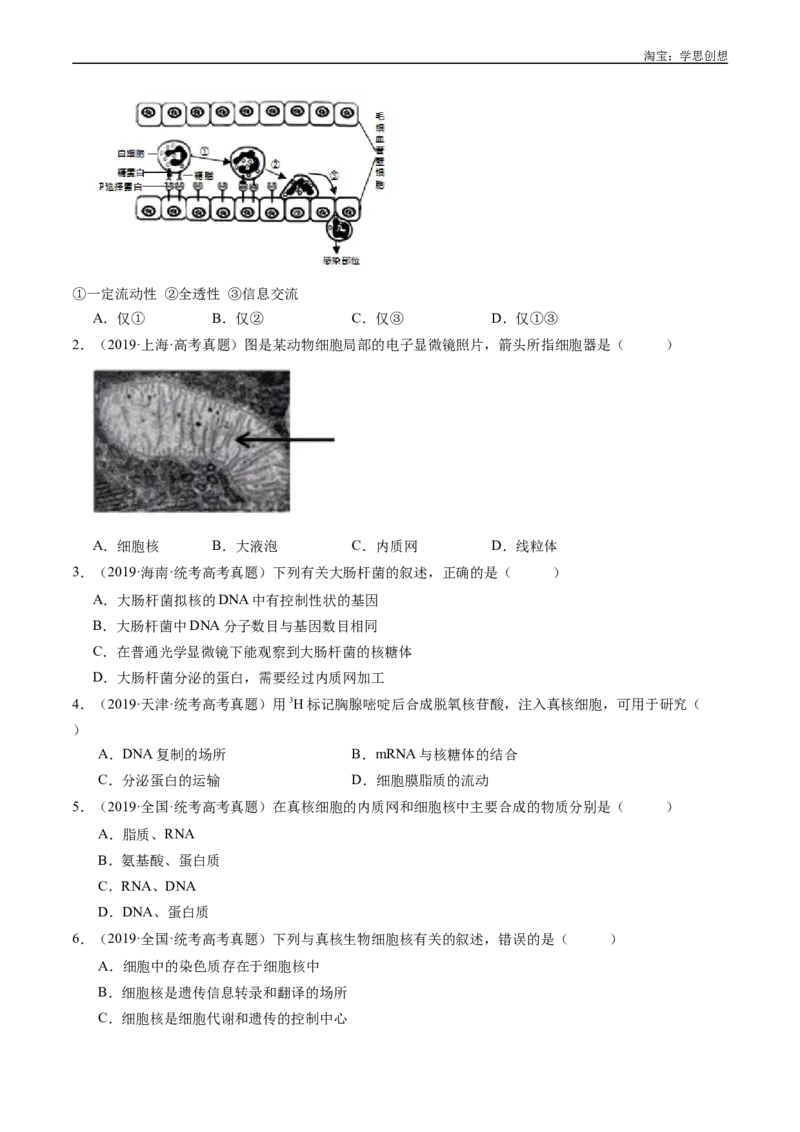 专题02细胞的结构和功能-好题汇编十年（2015-2024）高考生物真题分类汇编（全国通用）（原卷版）_生物真题汇总_十年（2014-2024）高考生物真题分项汇编（全国通用）