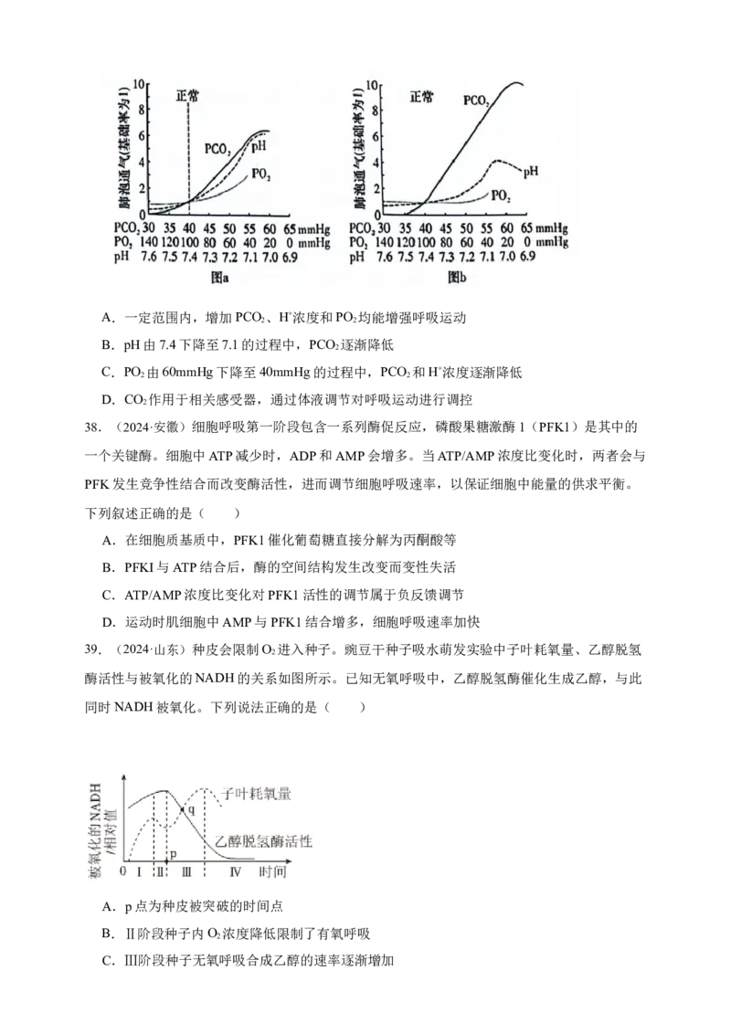 专题05呼吸作用_生物真题汇总_&radic;近三年（2023-2025）高考生物真题分专项精编_真题分专项汇编