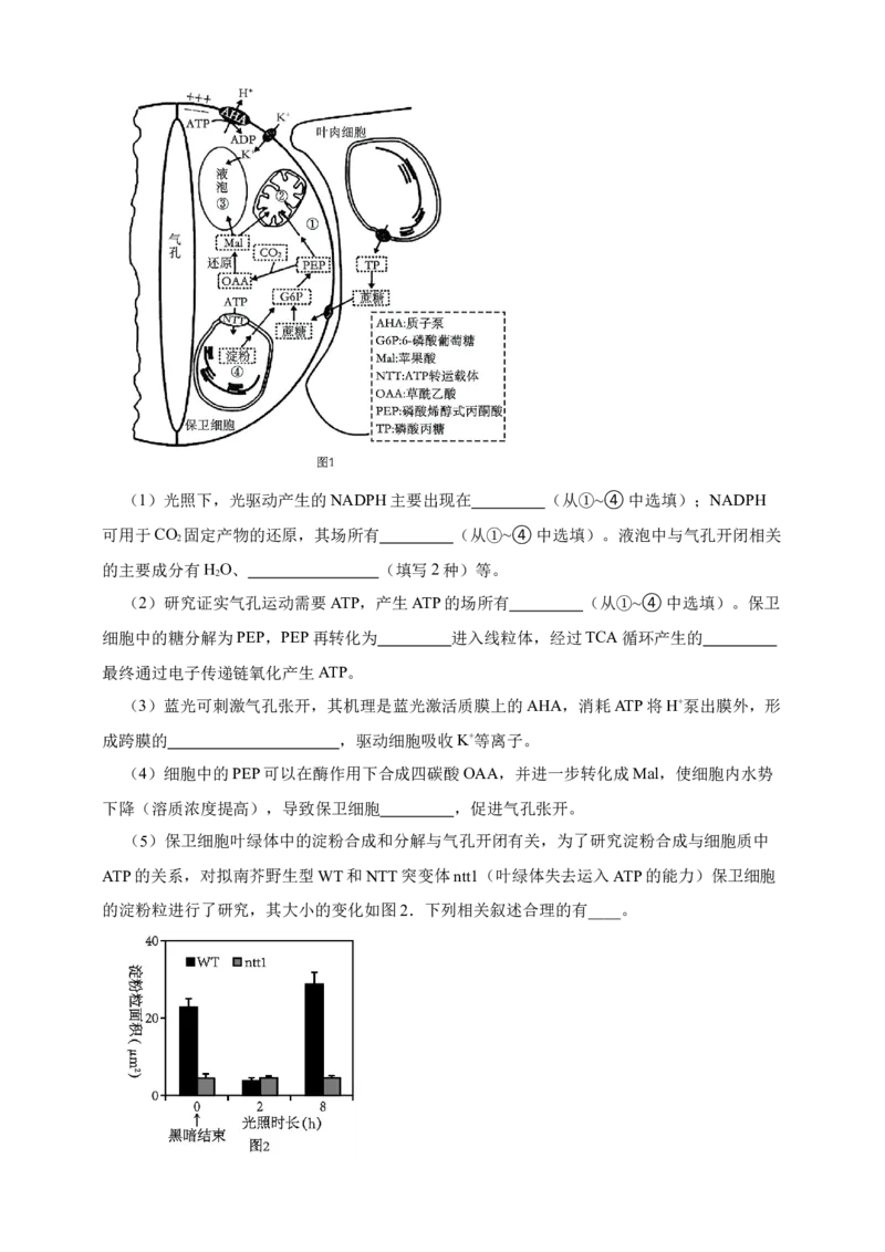 专题05呼吸作用_生物真题汇总_&radic;近三年（2023-2025）高考生物真题分专项精编_真题分专项汇编