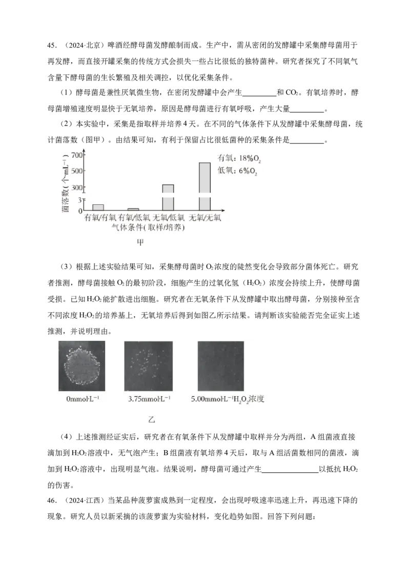 专题05呼吸作用_生物真题汇总_&radic;近三年（2023-2025）高考生物真题分专项精编_真题分专项汇编