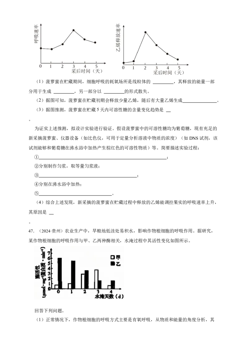 专题05呼吸作用_生物真题汇总_&radic;近三年（2023-2025）高考生物真题分专项精编_真题分专项汇编